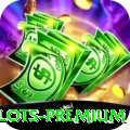 pp300 - Slots Premium